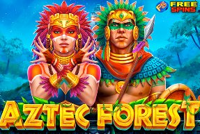 Cats jogo